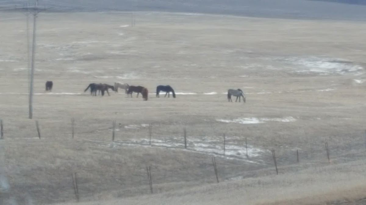 Belle Fourche Flight Center