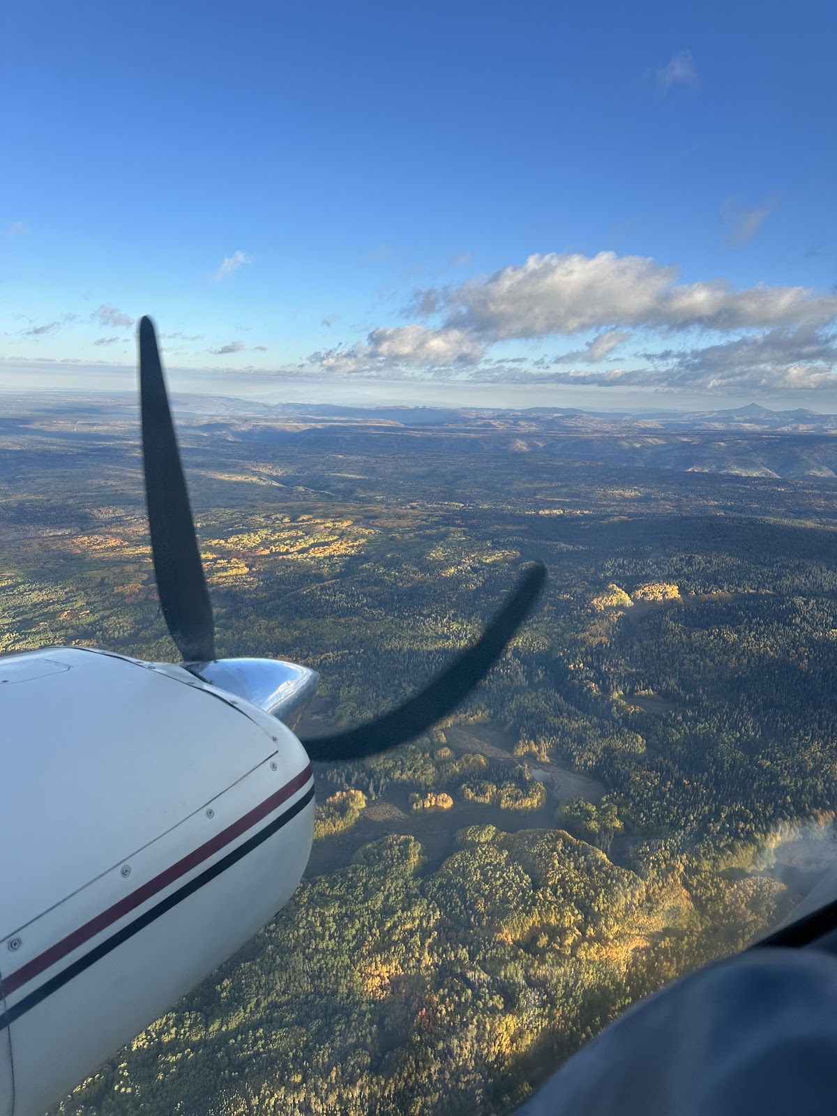 DarkHorse Aviation Flight School