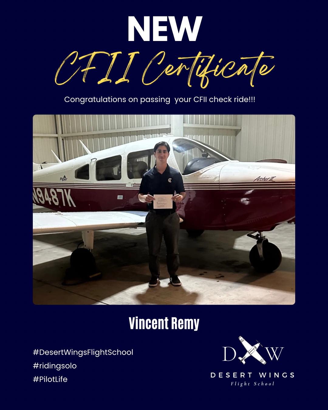Desert Wings Flight School