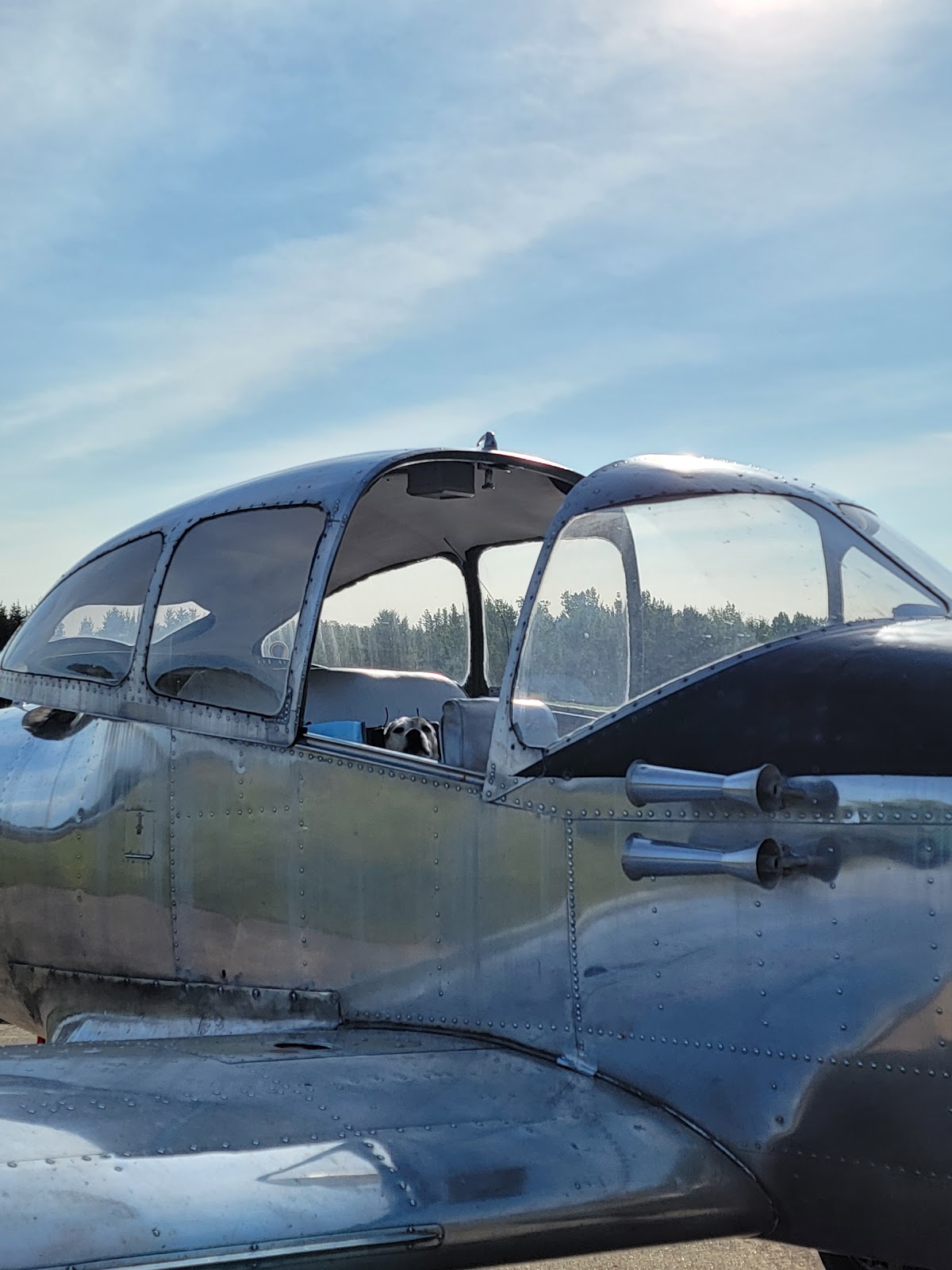 Detroit Lakes Aviation
