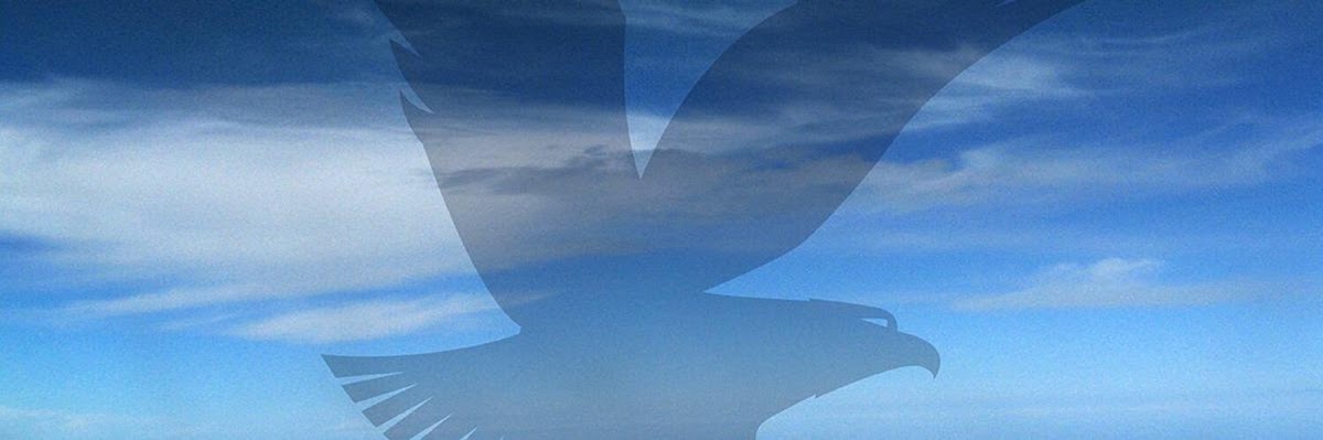 Embry-Riddle Aeronautical University - Phoenix-Mesa