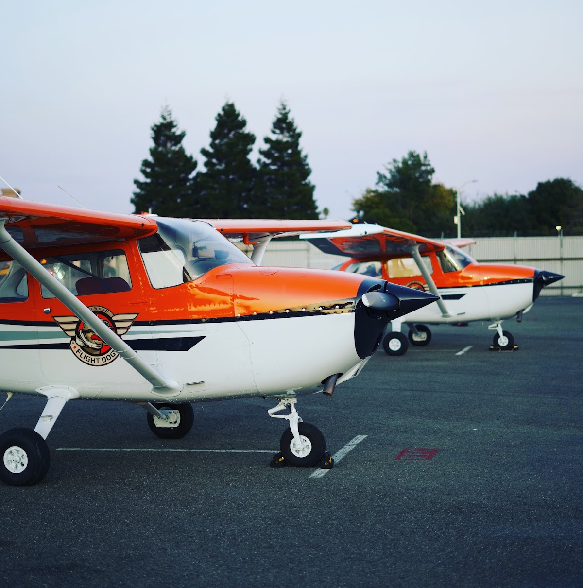 Flight Dogs