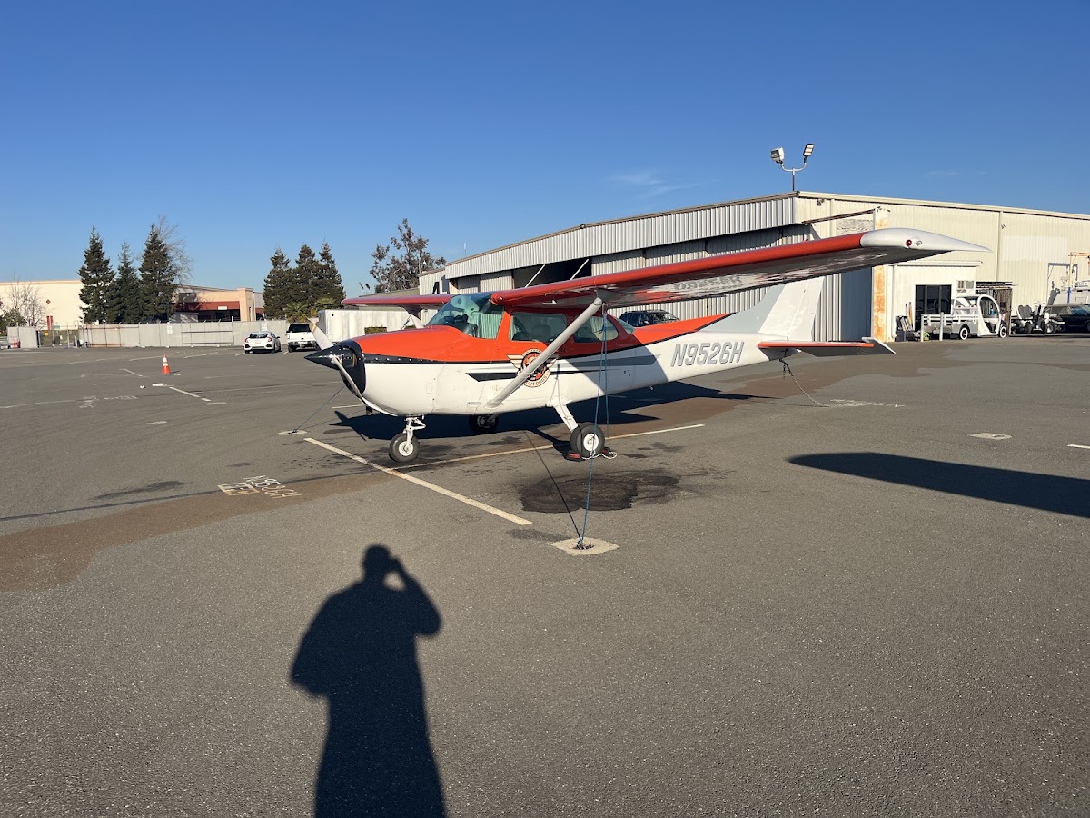 Flight Dogs