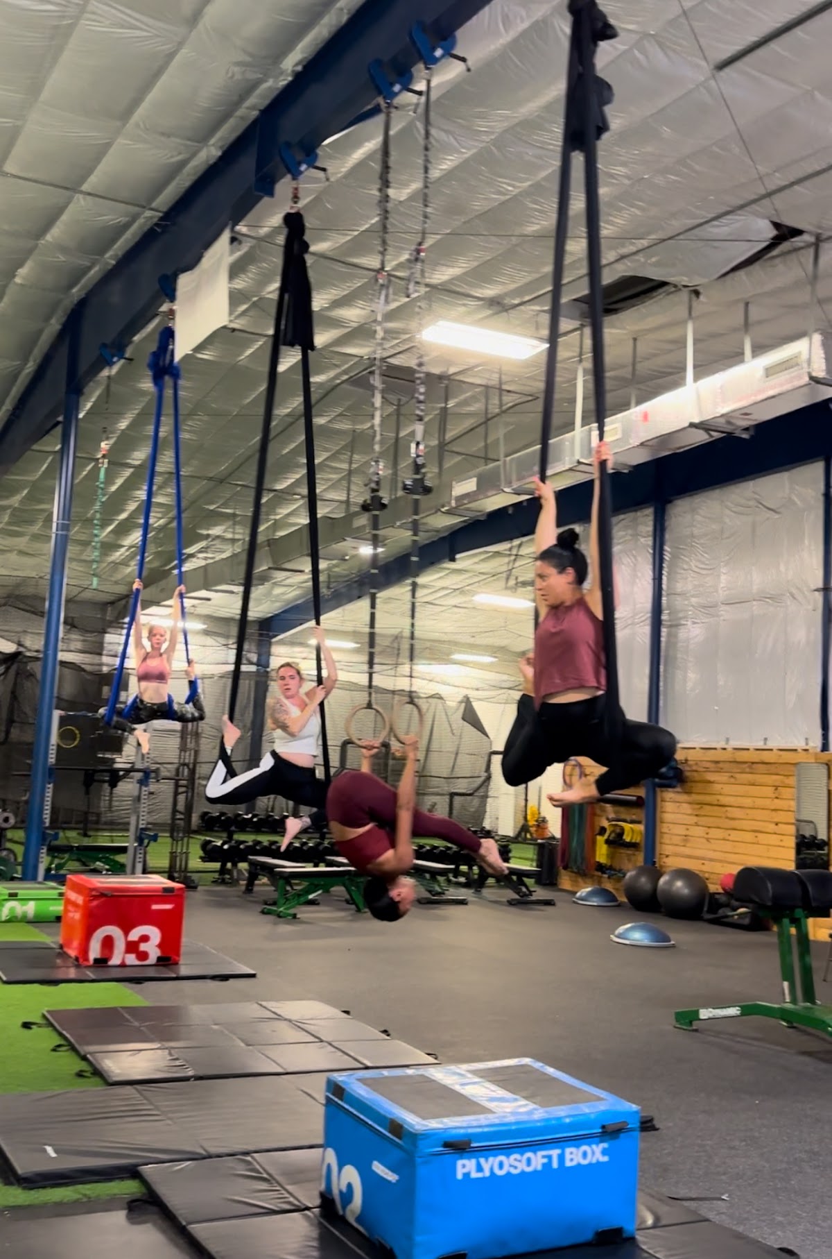 Flight School Aerial Fitness