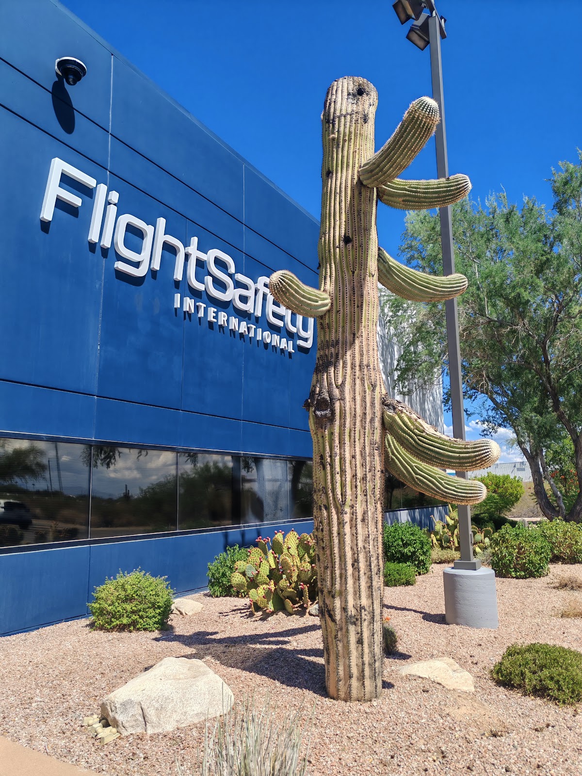 FlightSafety International