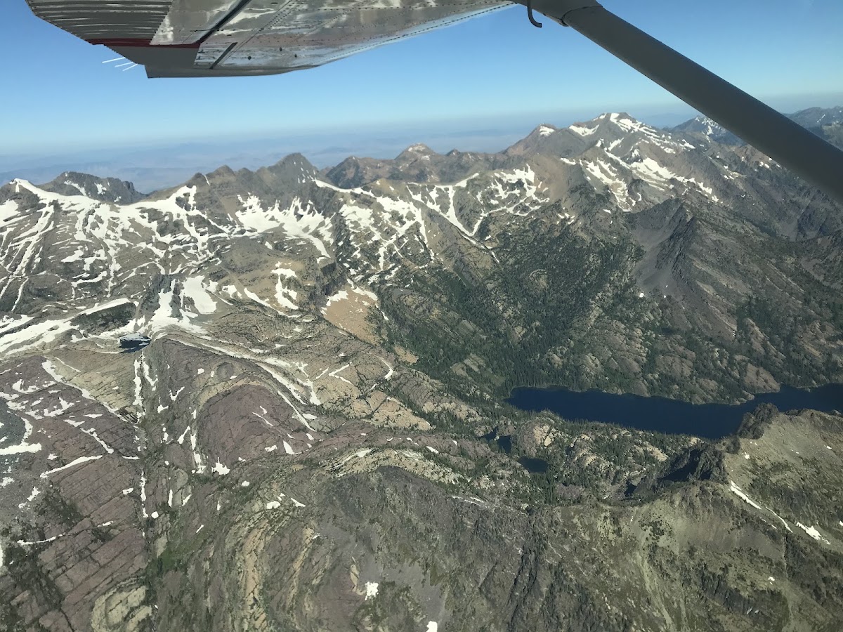 Foster Aviation