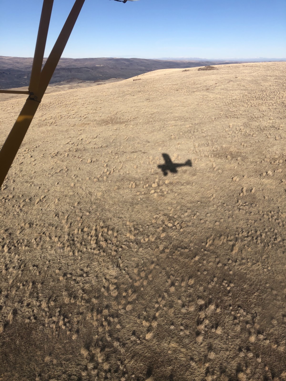Good Times Aviation