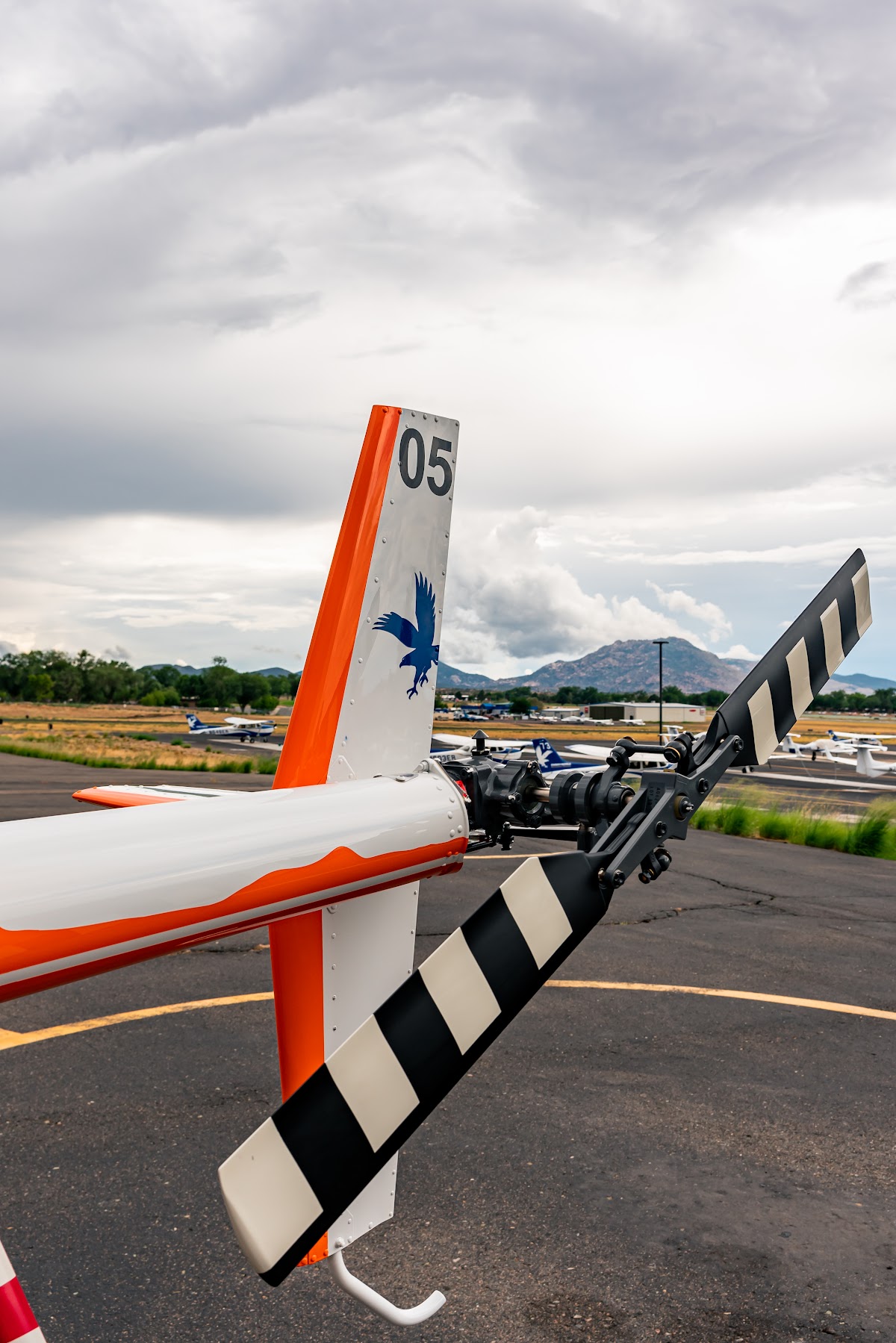 Helicopter Institute