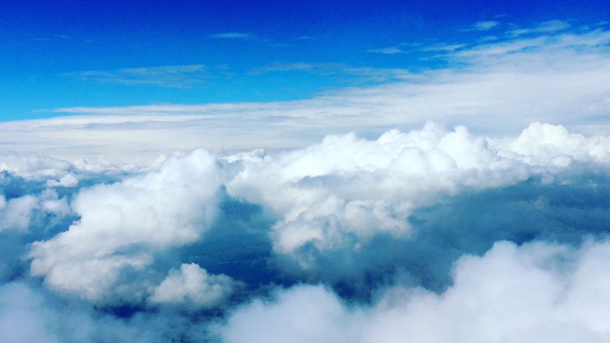 Infinity Flight Training-Nashville-JWN