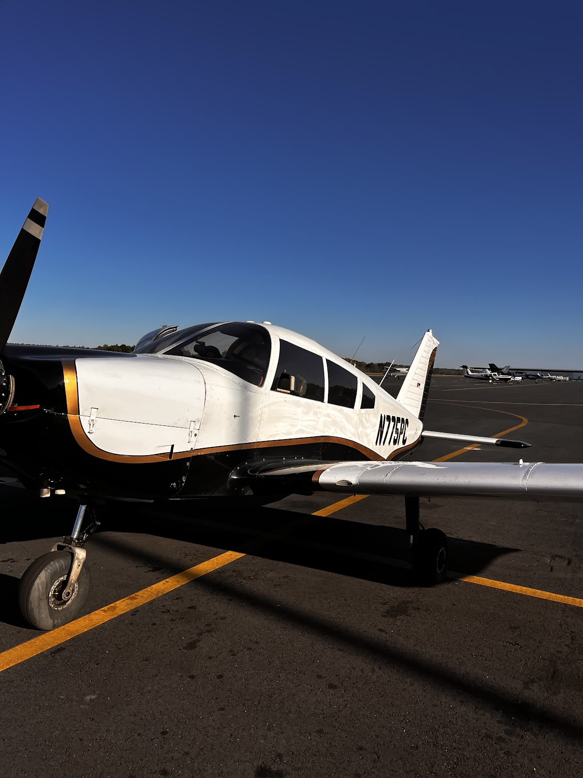 Lowcountry Flight Company