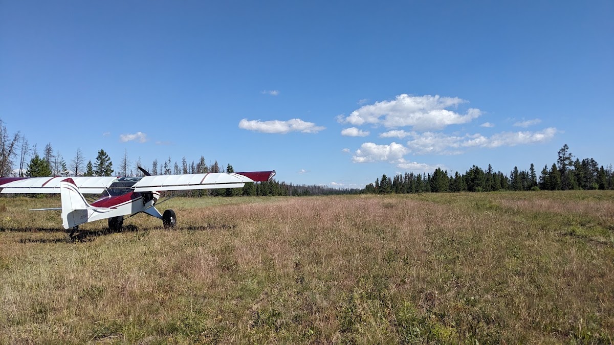 Next Level Tailwheel Flight School