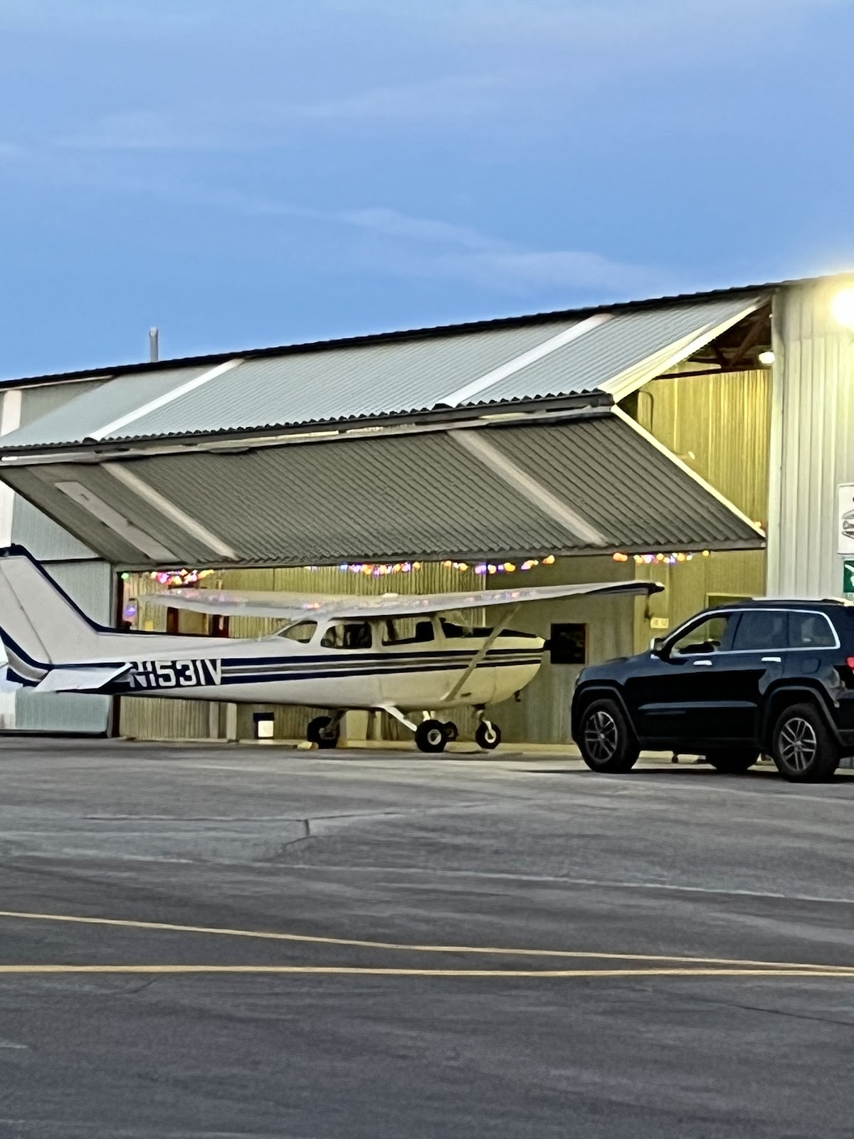 OneOnOne Flight Training