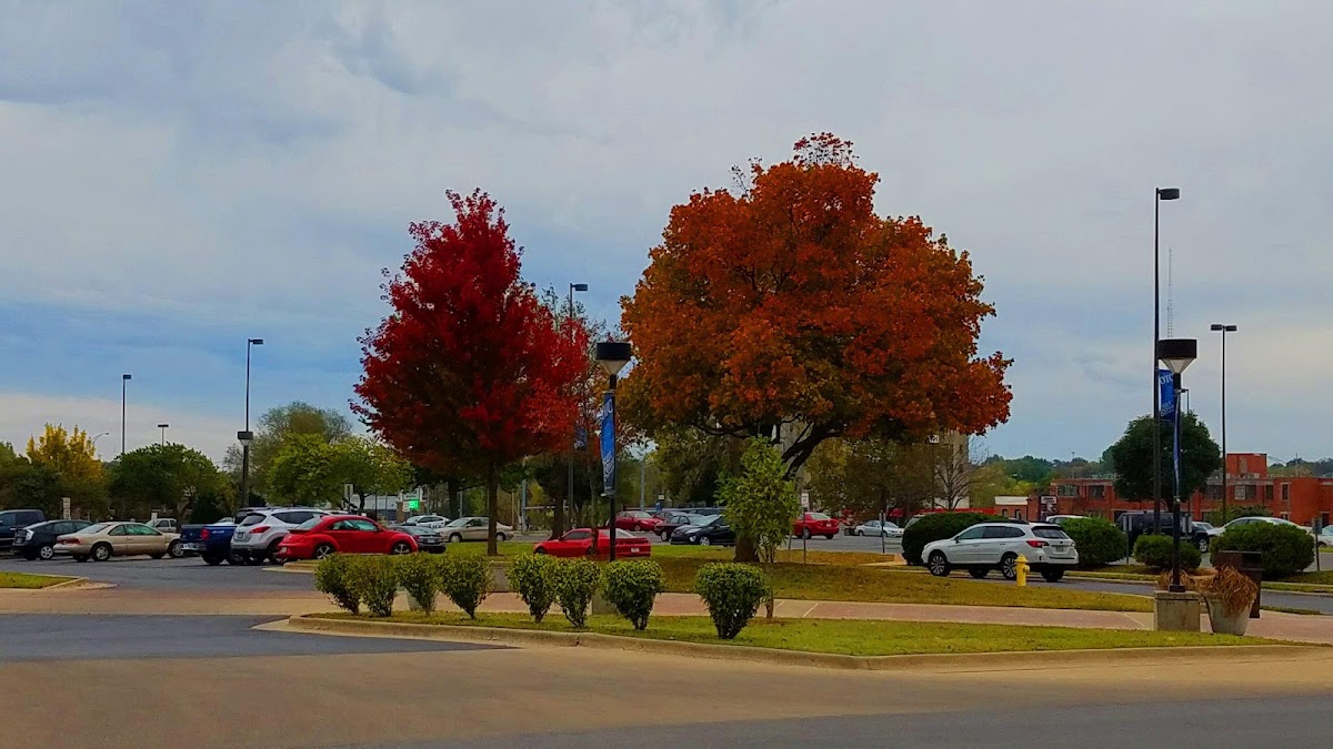 Ozarks Technical Community College