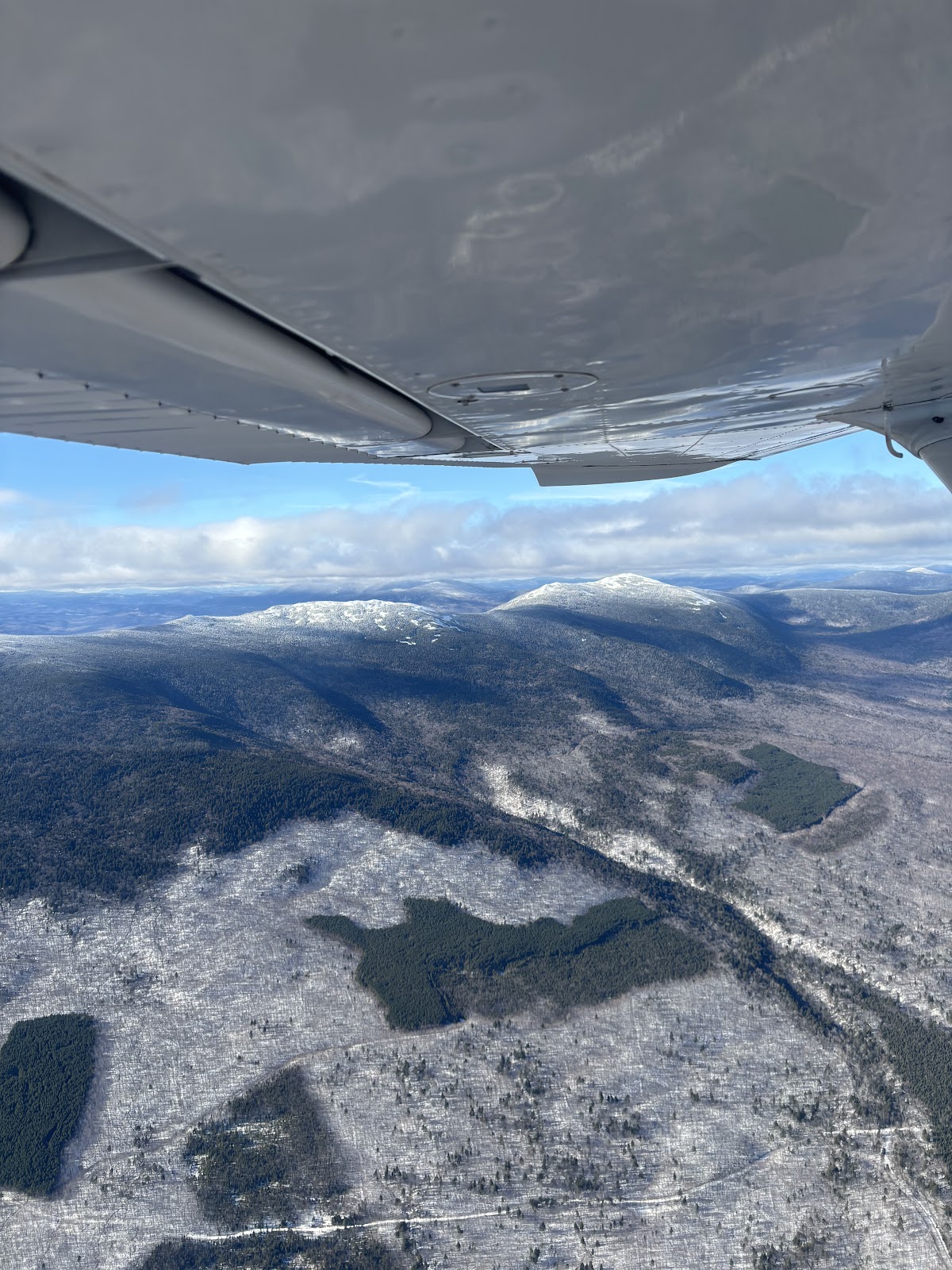 Tailfin Aviation