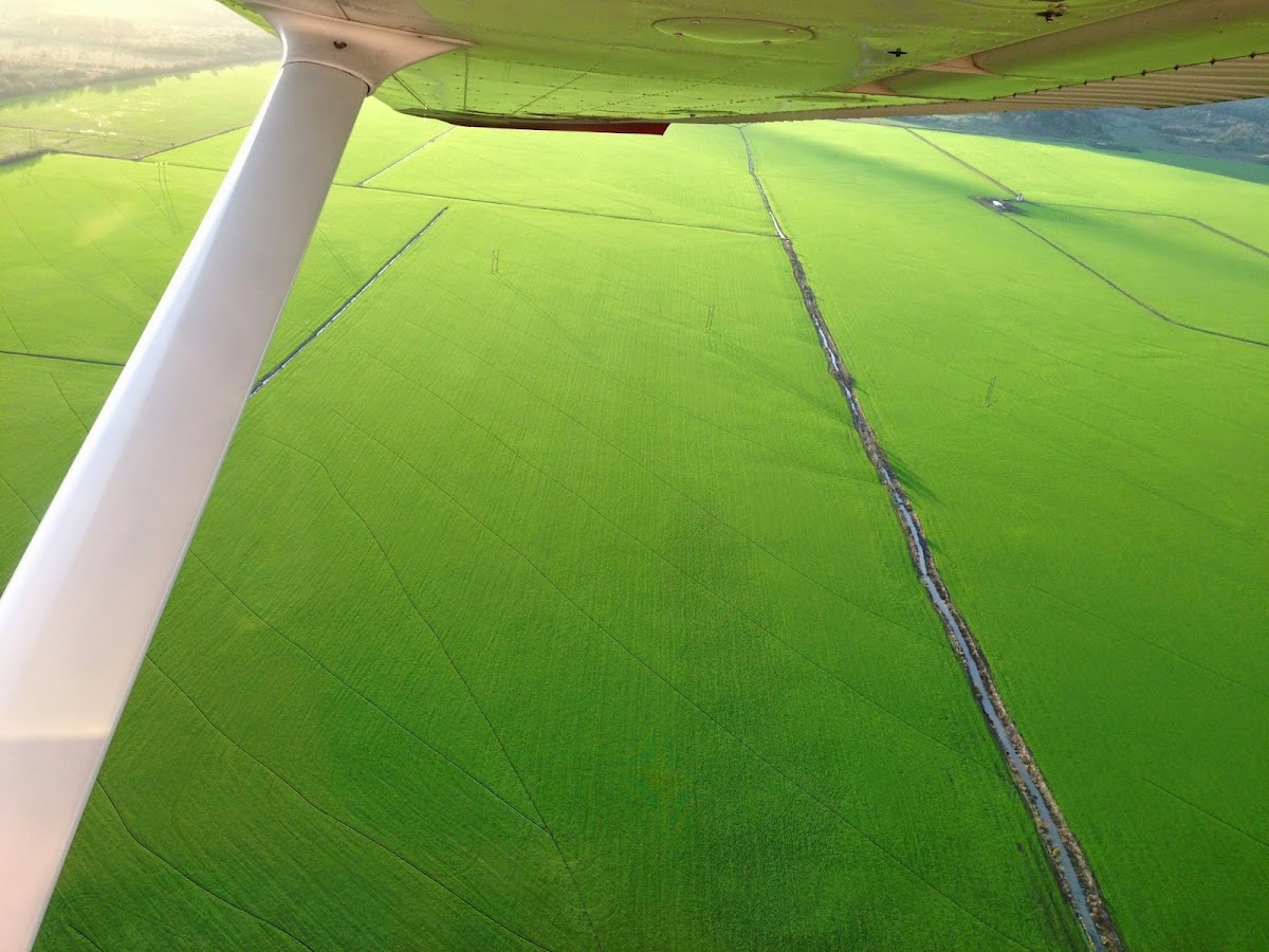 TakeWING Aviation
