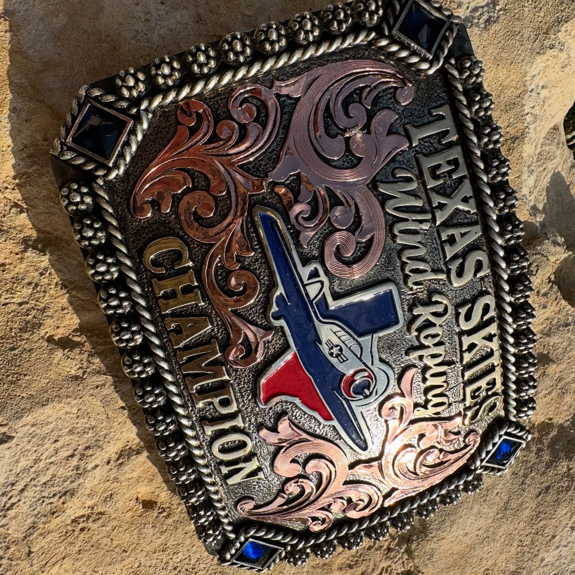 Texas Skies Flight School