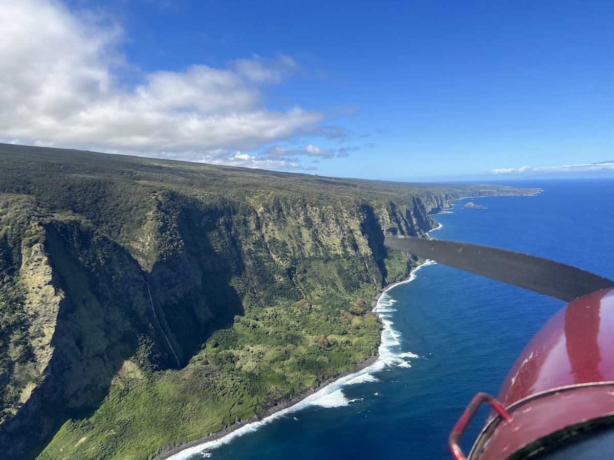 Tropicbird Flight Service