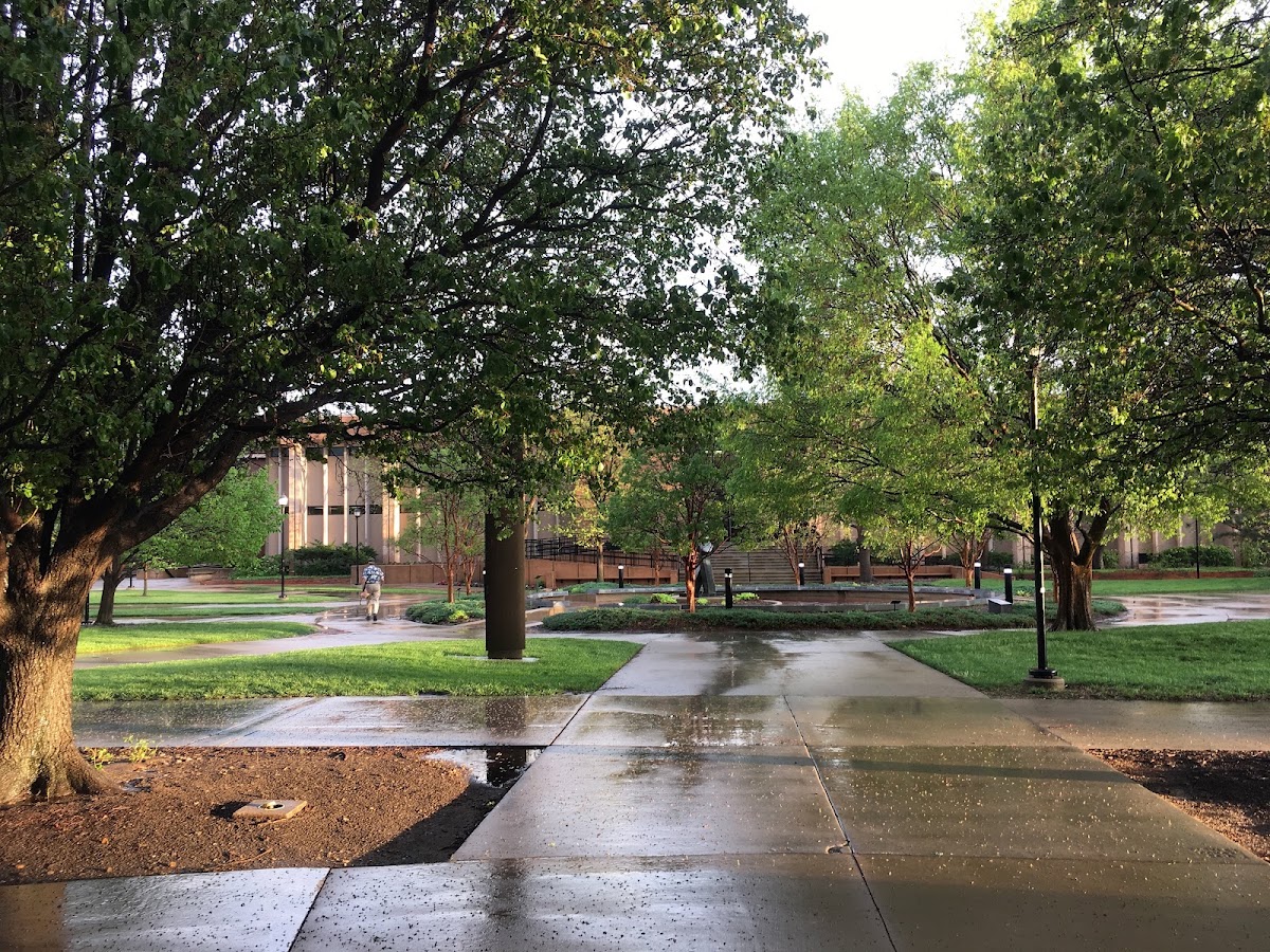 Wichita State University