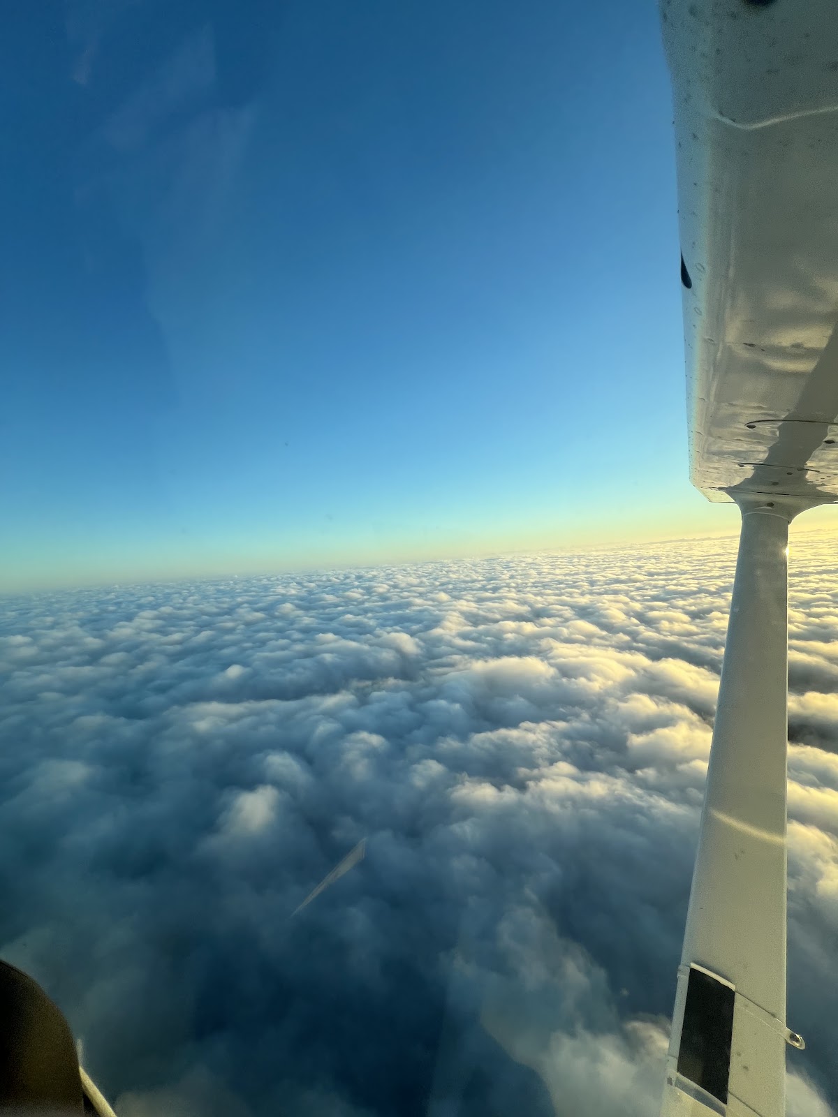 Wilkins Aviation Co., LLC