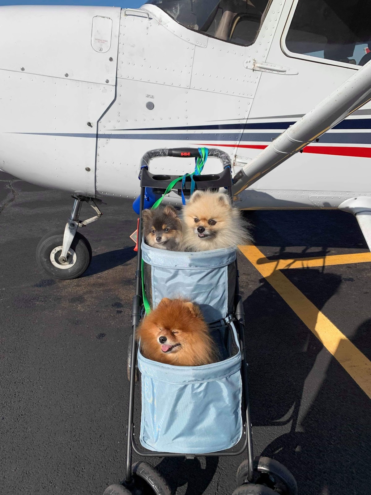 Wings of Carolina Flying Club